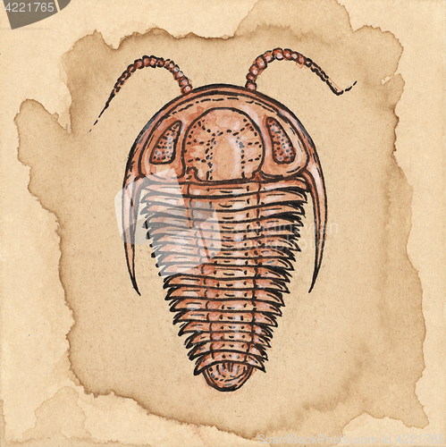 Image of Trilobite drawing