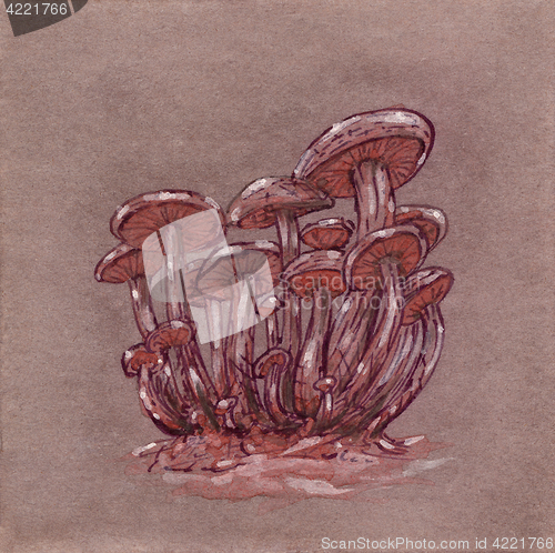 Image of Fantasy mushrooms cluster