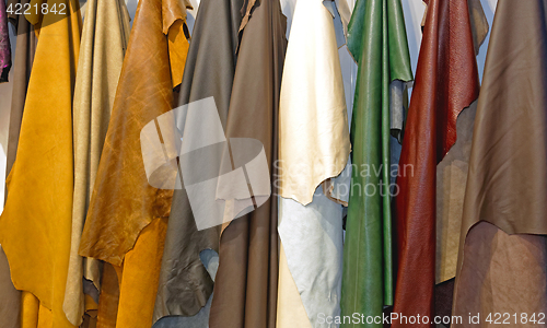 Image of Leather Fashion