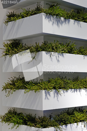 Image of Vertical Garden Corner