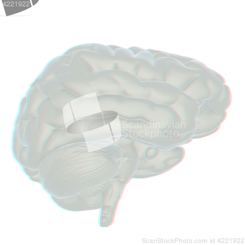 Image of 3D illustration of human brain. Anaglyph. View with red/cyan gla