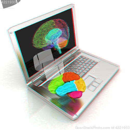 Image of creative three-dimensional model of real human brain and scan on