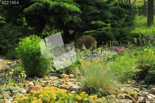 Image of green spring flower garden