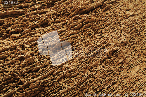 Image of old sandstone texture by the sea