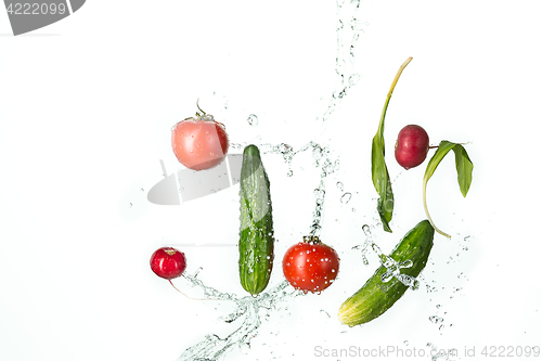 Image of The fresh tomatos, cucumbers, radish in spray of water.