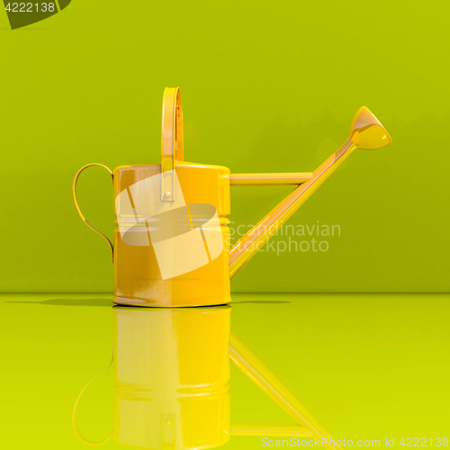 Image of Watering Can on Green