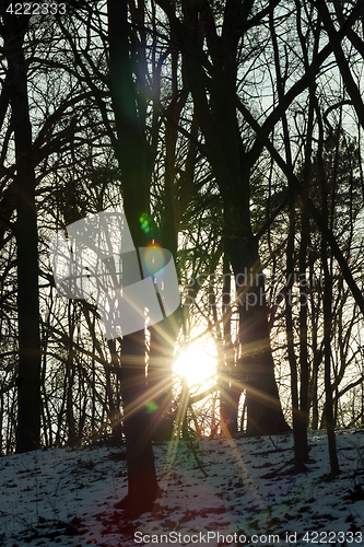 Image of sun sunrise winter