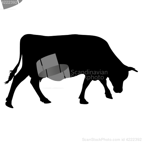 Image of Black silhouette of cash cow on white background