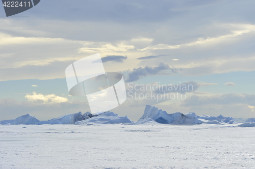 Image of Beautiful view of icebergs in Snow Hill Antarctica