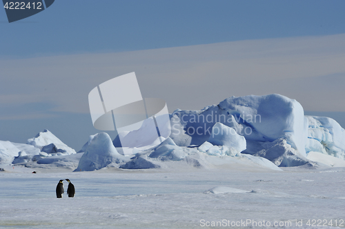 Image of Beautiful view of icebergs Snow Hill Antarctica