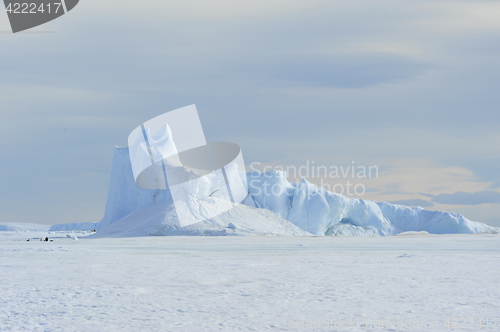 Image of Beautiful view of icebergs in Snow Hill Antarctica