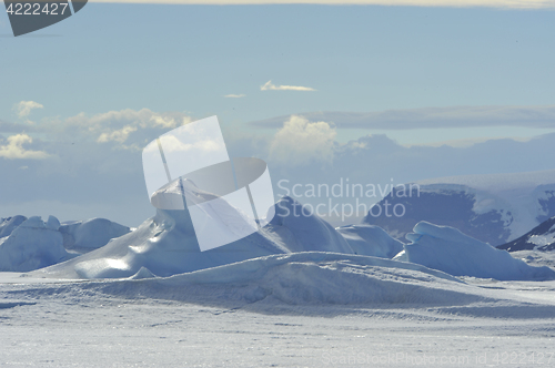 Image of Beautiful view of icebergs in Snow Hill Antarctica