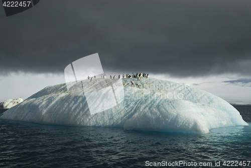 Image of Beautiful view of icebergs in Antarctica