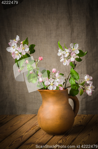 Image of Branch of a blossoming apple-tree in a clay pitcher, close-up