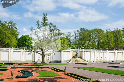 Image of Old Oak in Kadriorg Park ,Tallinn, Estonia.