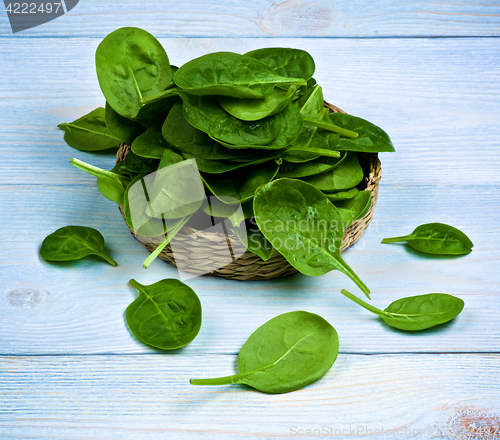 Image of Raw Spinach Leafs