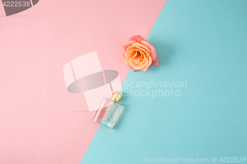 Image of Cosmetics on modern colorful background