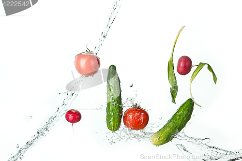 Image of The fresh tomatos, cucumbers, radish in spray of water.