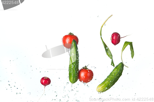 Image of The fresh tomatos, cucumbers, radish in spray of water.