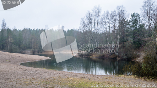 Image of Foggy spring landscape in the forest lake