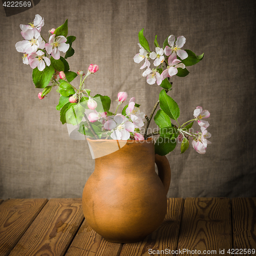 Image of Branch of a blossoming apple-tree in a clay pitcher, close-up
