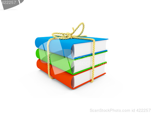 Image of tied up books isolated view