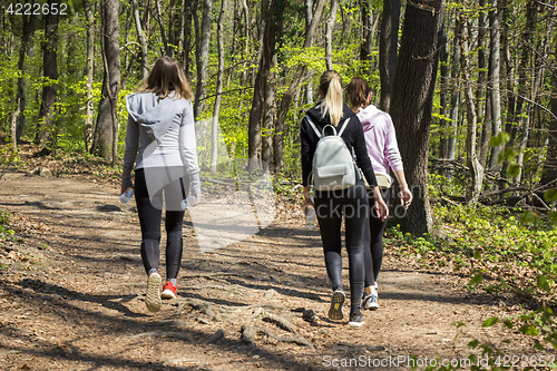 Image of Three young girls walking in spring forest