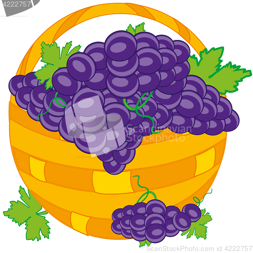 Image of Basket with grape