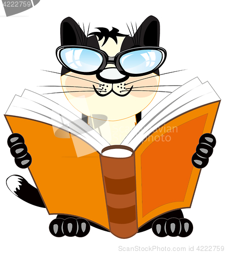 Image of Cat with book