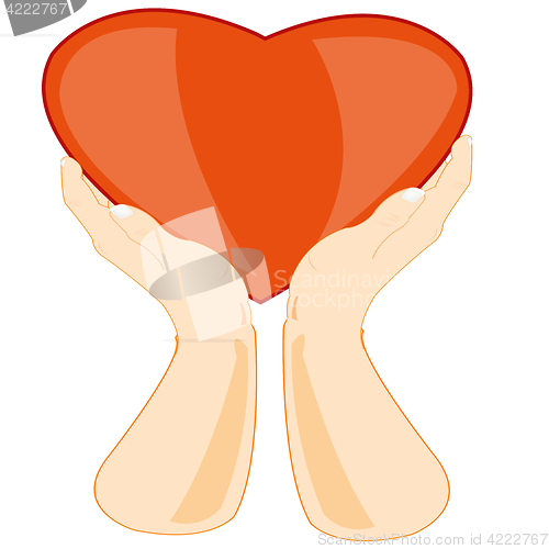 Image of Hands keeps heart
