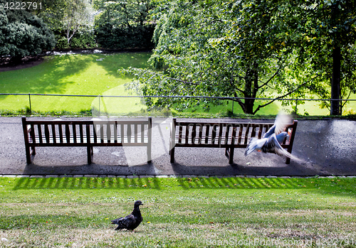 Image of wooden bench in a park