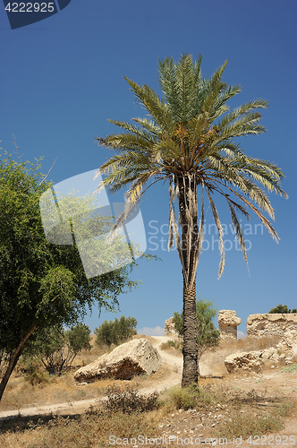 Image of Park of Ashkelon in Israel