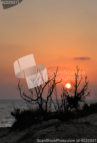 Image of Mediterranean Coast Israel