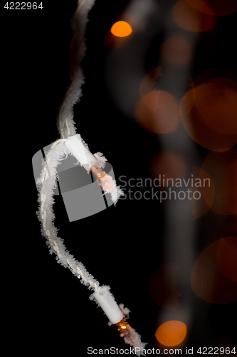 Image of christmas lights