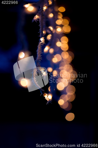 Image of christmas lights