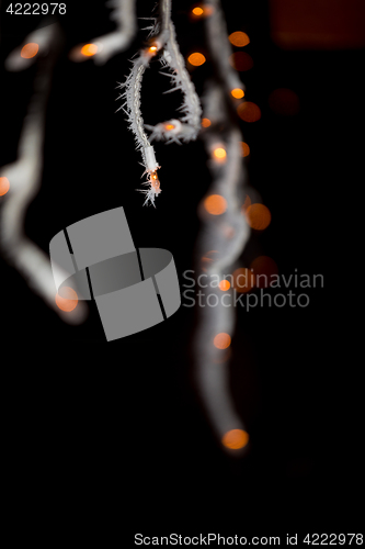 Image of christmas lights