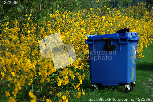 Image of Yellow Blue Green