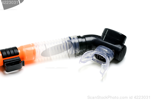 Image of Swimmers snorkel on white