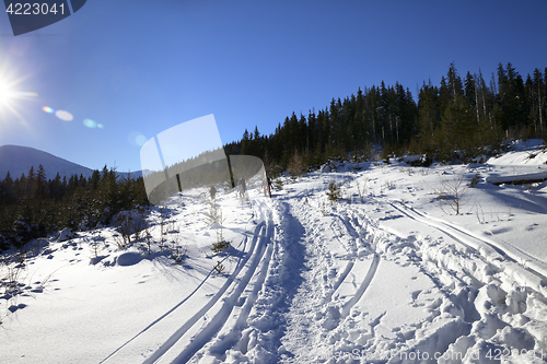 Image of Freeriders with skis go on footpath in snow at sun winter day