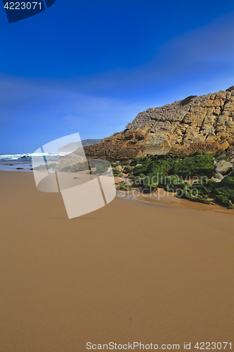 Image of Green stones on the seashore