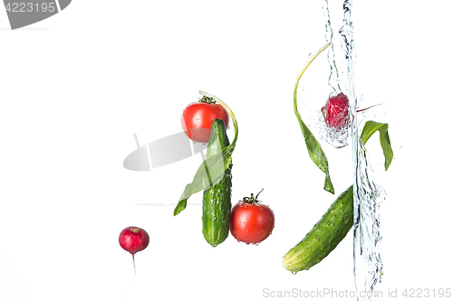 Image of The fresh tomatos, cucumbers, radish in spray of water.