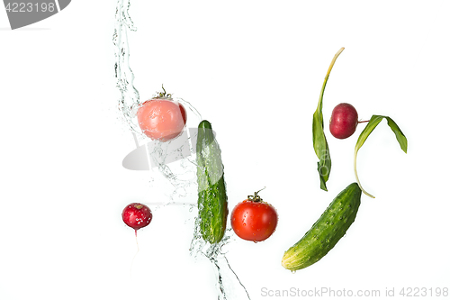 Image of The fresh tomatos, cucumbers, radish in spray of water.