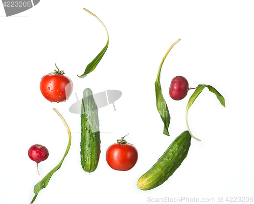 Image of The fresh tomatos, cucumbers, radish in spray of water.