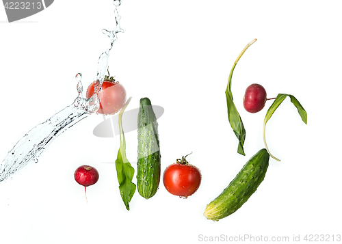 Image of The fresh tomatos, cucumbers, radish in spray of water.