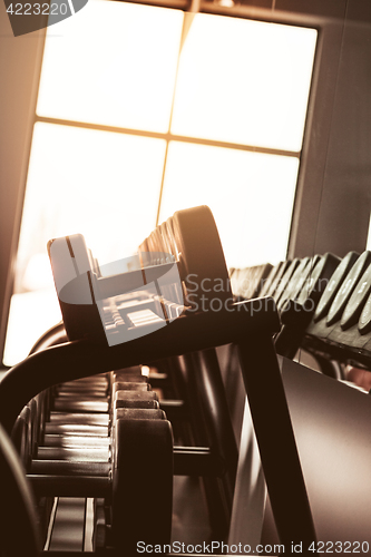 Image of Rows of dumbbells in the gym