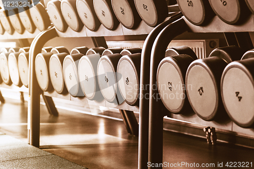 Image of Rows of dumbbells in the gym
