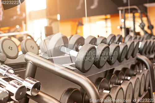 Image of Rows of dumbbells in the gym