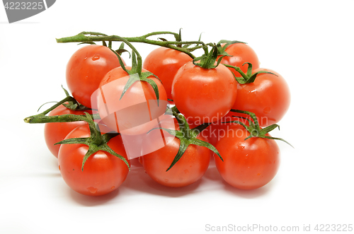 Image of Red cherry tomato