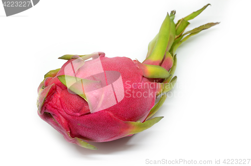 Image of Pitaya or Dragon Fruit