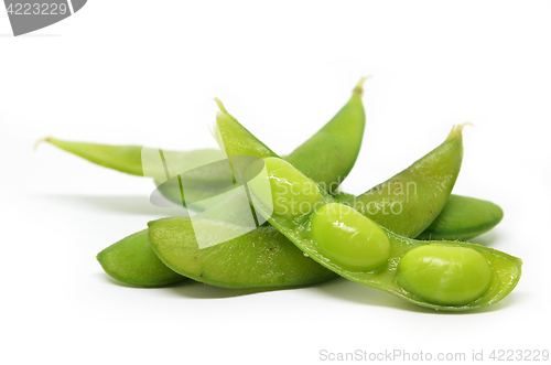 Image of Edamame, boiled green soy beans